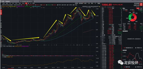 20210416 极米科技 石头科技 九号公司的比较